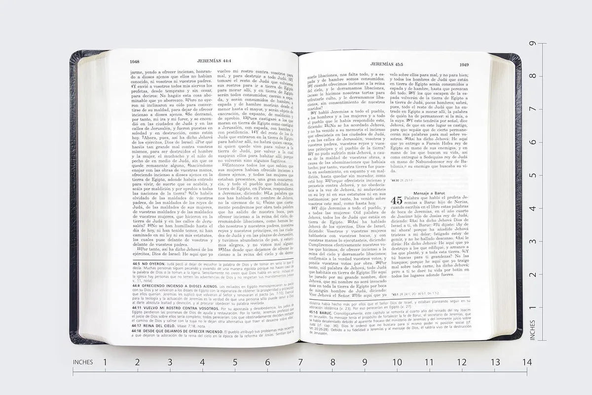 Biblia de Estudio Vida Plena Negra -  Reina Valera 1960 Imitación Piel